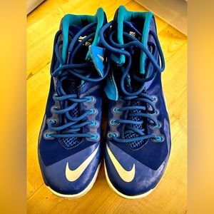 Nike Lebron Basketball shoes